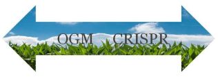 ogm crispr 2