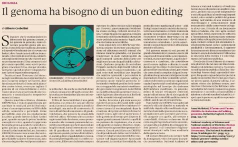 sole 24