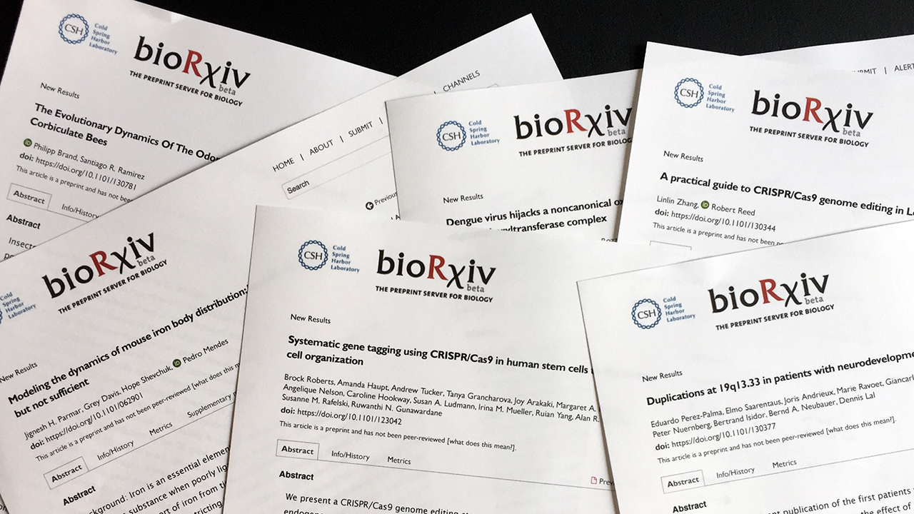 bioRxiv