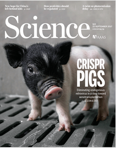 science cover