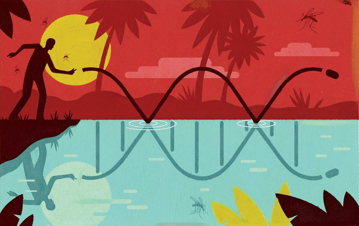 Harvard Mag Pete Ryan