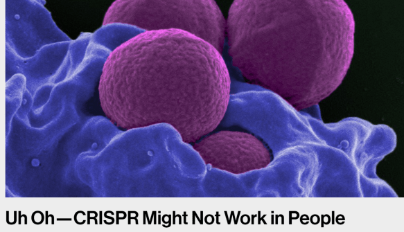 MIT tech rev 5 Jan 2018