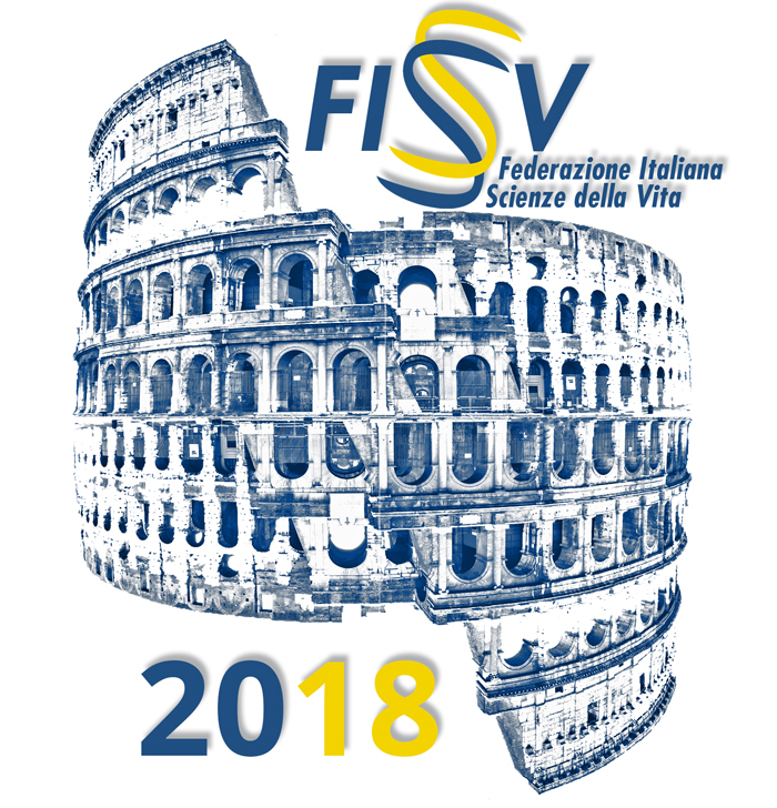 FISV2018